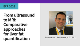 From ultrasound to MRI: Comparative approaches for liver fat quantification